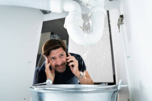 Best Local Plumber Services  in Richmond Heights, FL